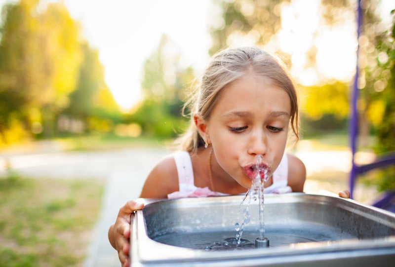 Young blonde girl drinking water from a small water fountain in a sunny park. Heavy metals can be found everywhere in the environment, including drinking water, and supporting the gut through probiotics may reduce toxicity.