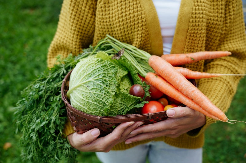Hands of a woman in a yellow jacket standing in the backyard and holding a wooden basket with cabbage, carrots and tomatoes