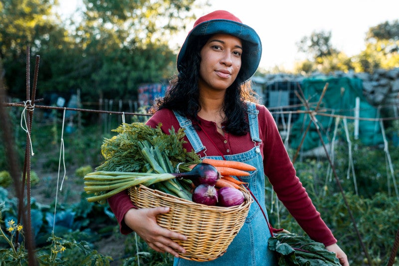 Portrait of female latin american gardener gathering organic vegetables with a wicker basket at orchard