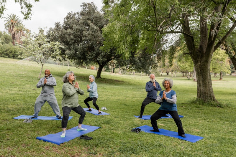 A diverse group of seniors practice yoga in their local park.