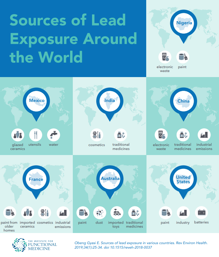 Lead Exposure Infographic